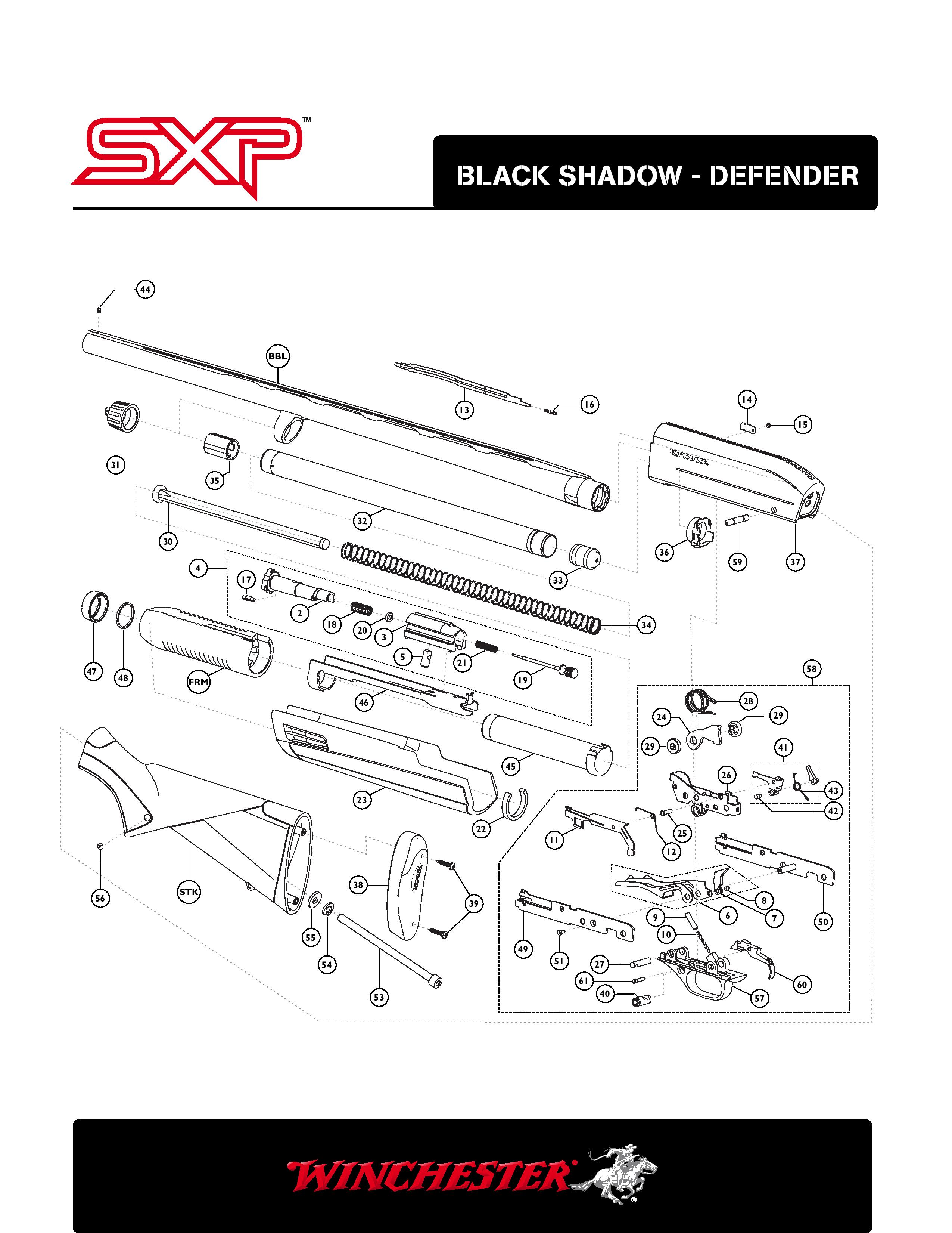 SXP-page-001.jpg